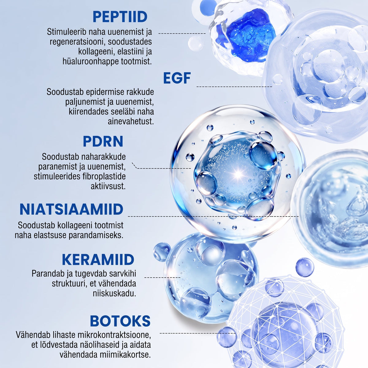 𝑮𝒂𝒇𝒂𝒄𝒆® 👩‍⚕️✨ 𝑃𝐷𝑅𝑁 KORTSEID SILUV JA PINGULDAV KREEM